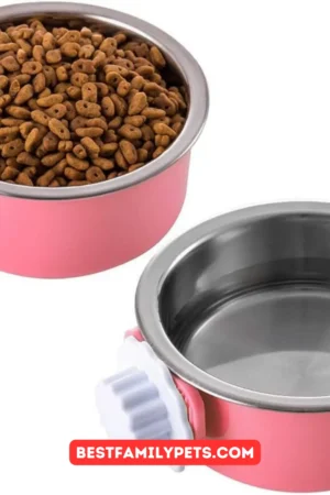 Ferret Water Bowl That Can’t Be Knocked Over