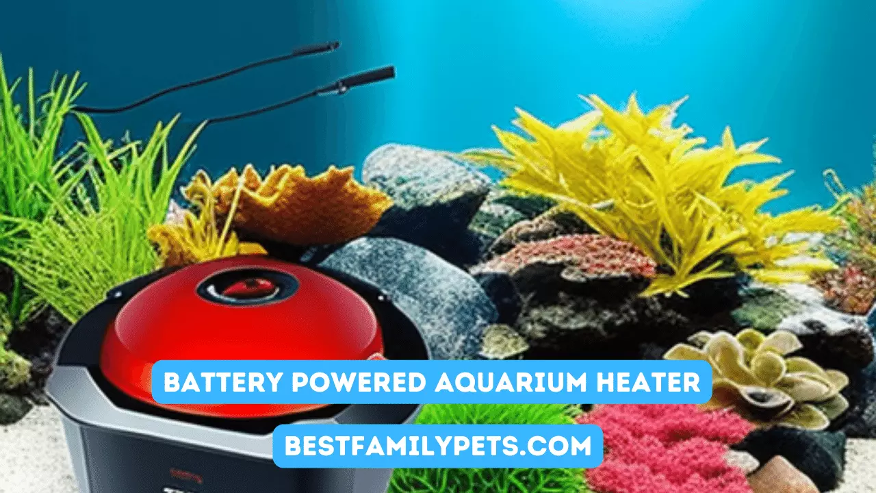 Battery Powered Aquarium Heater