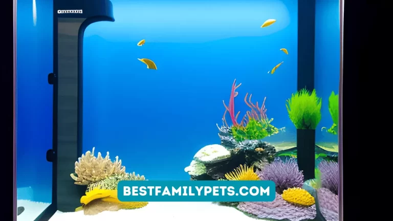 Eco Aquarium Heater Reviews