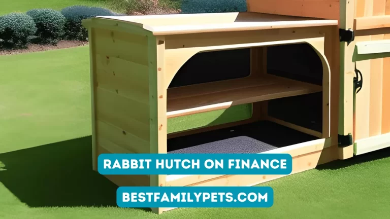 Rabbit Hutch on Finance