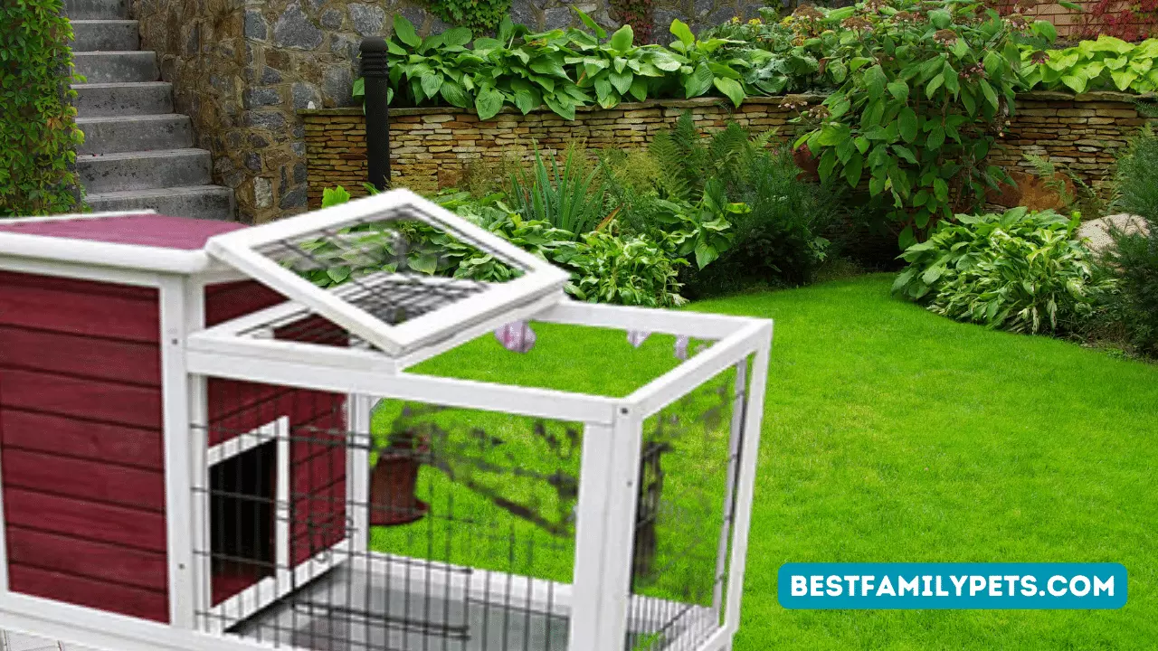 Top 34 Rabbit Hutches for Sale