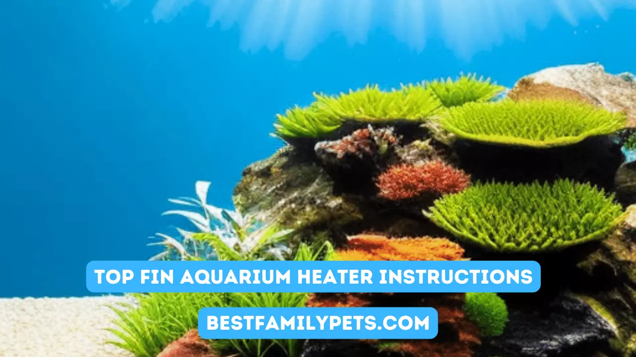 Top Fin Aquarium Heater Instructions