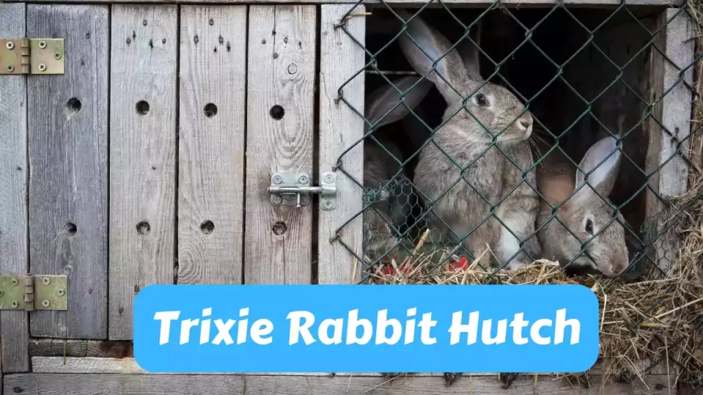 Trixie Rabbit Hutch