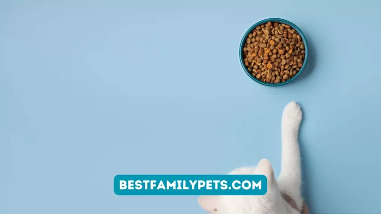 Sterilized Cat Food