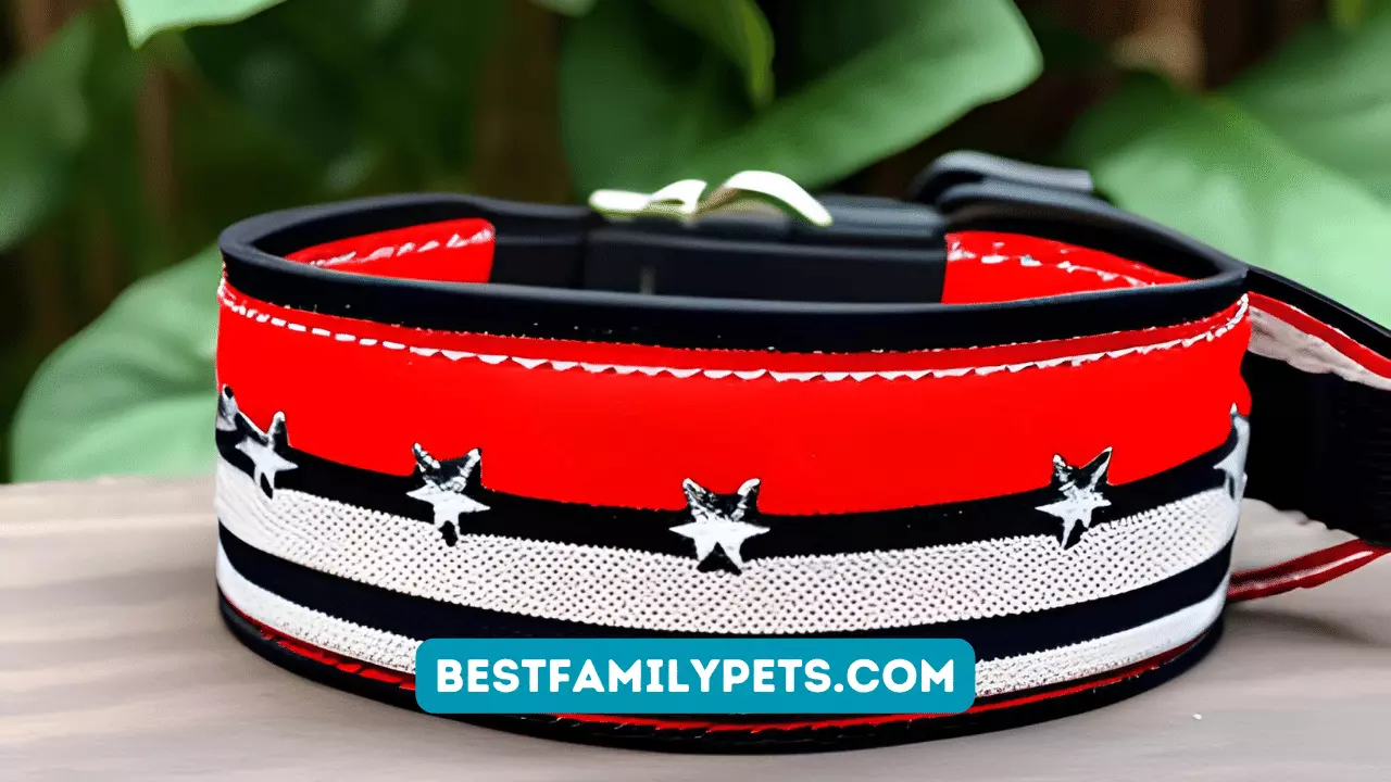 10 Most Popular Dog Collars and Harnesses of 2023