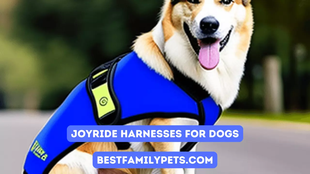 Joyride Harnesses: The Best Fit for Your Dogs