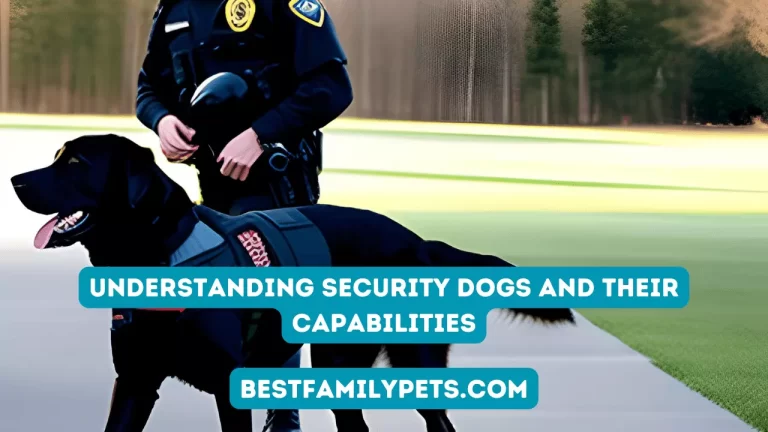 Understanding Security Dogs and Their Capabilities