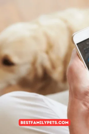 Top 10 Best Dog Training Apps 2021