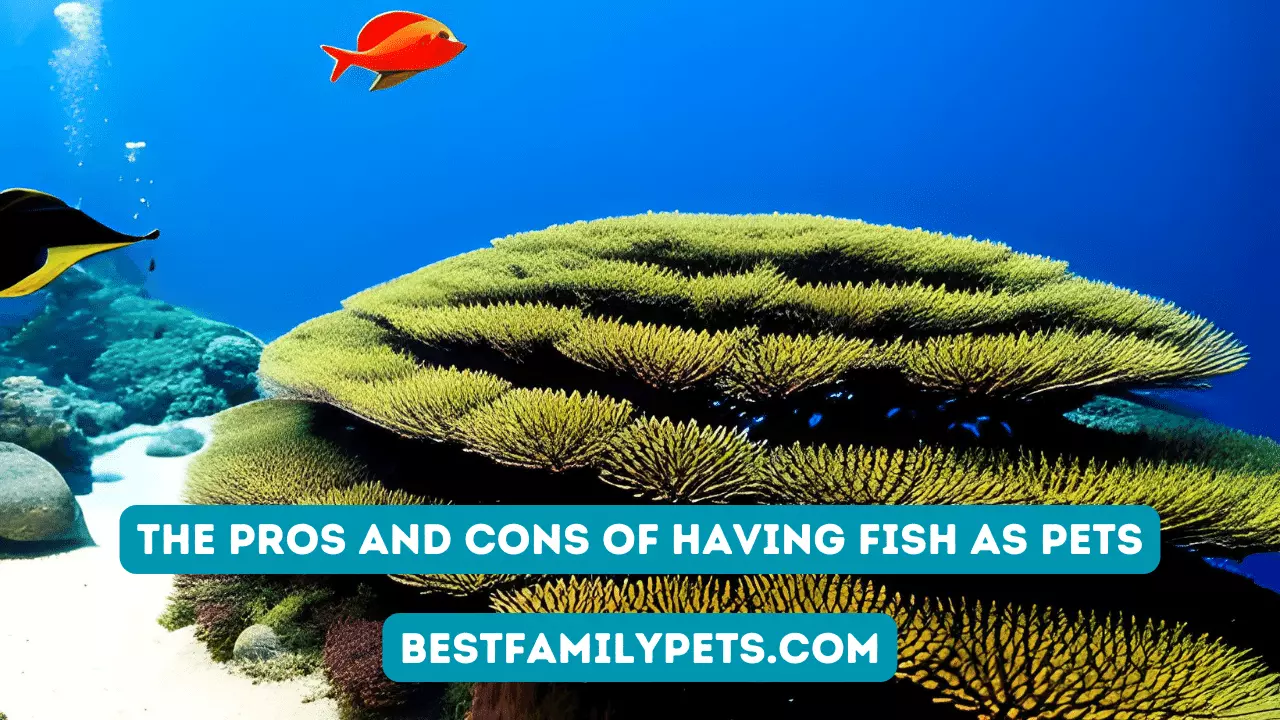 The Pros and Cons of Having Fish as Pets