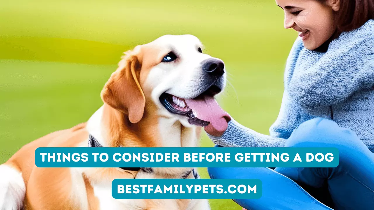Things to Consider Before Getting a Dog