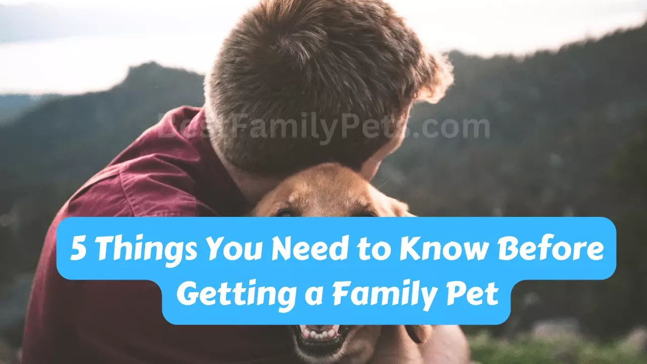 5 Things You Need to Know Before Getting a Family Pet