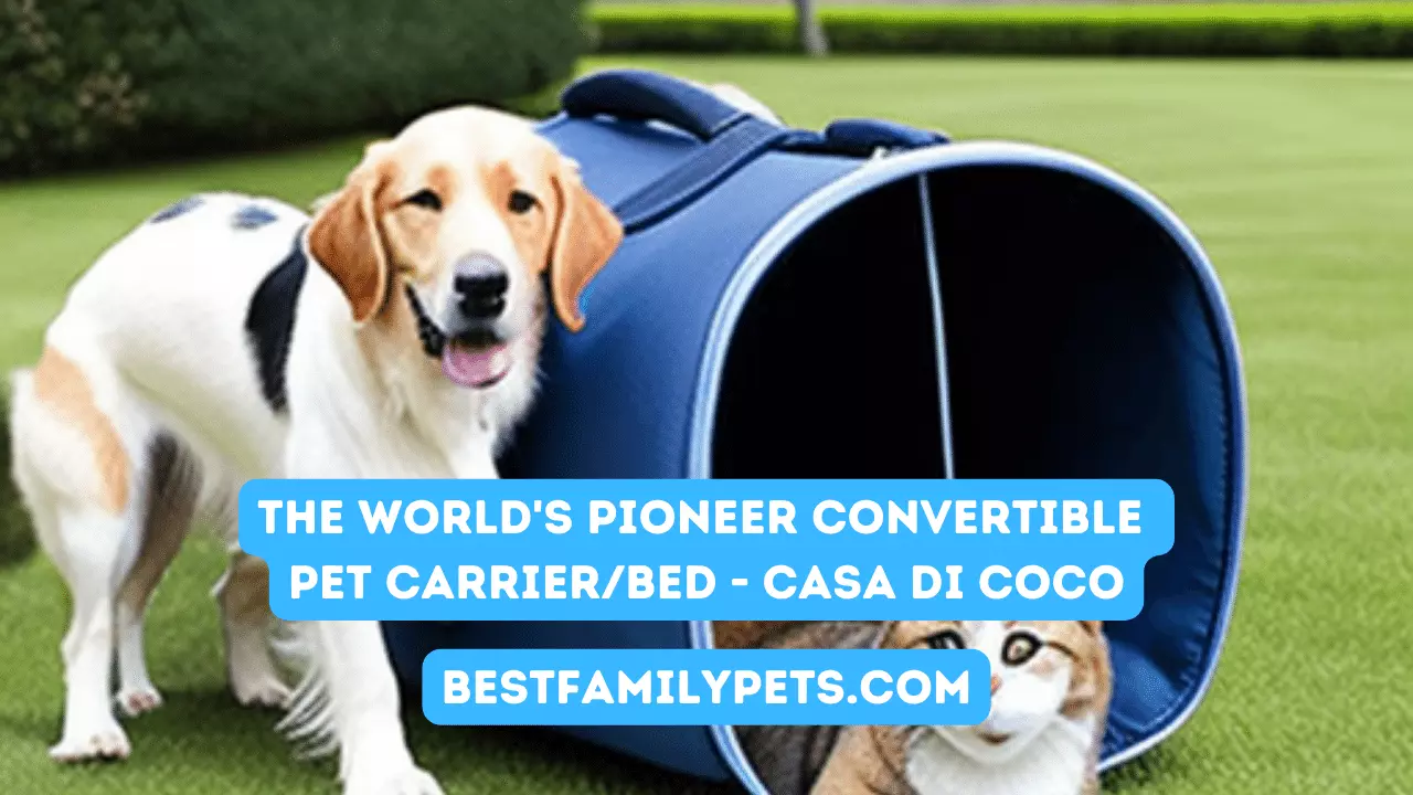 The World Pioneer Convertible Pet Carrier Bed - Casa di Coco
