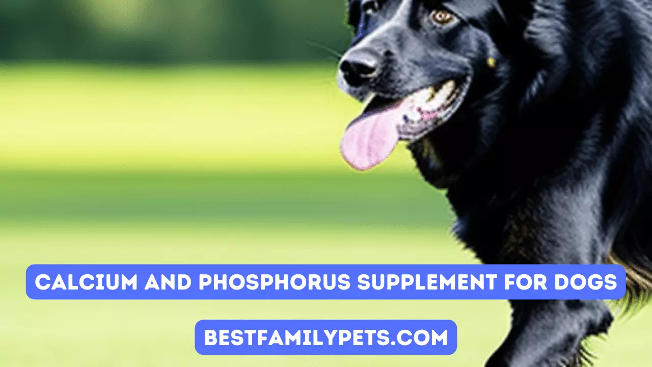 Calcium and Phosphorus Supplement for Dogs