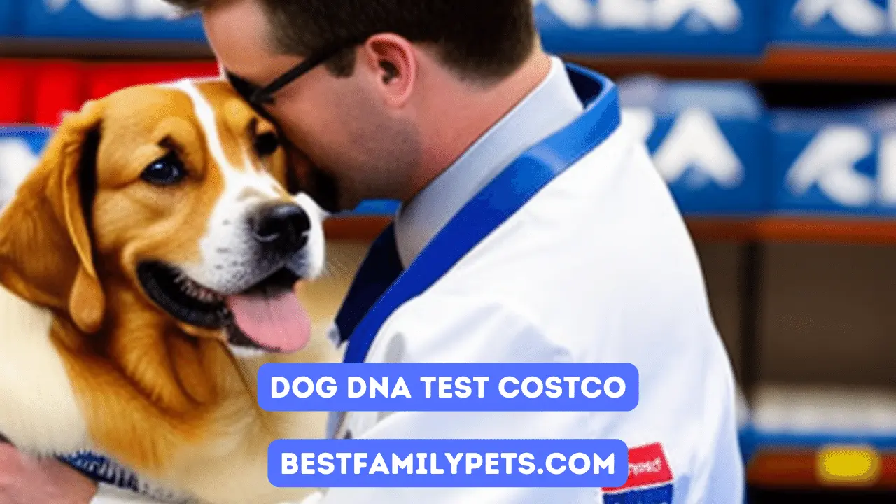 Dog DNA Test Costco