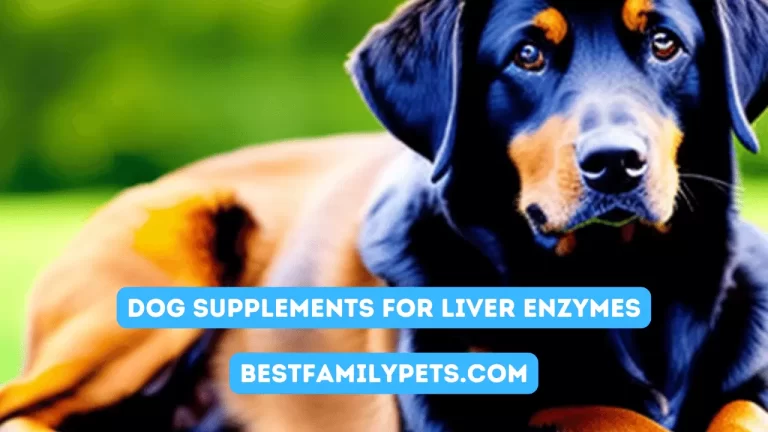 Dog Supplements for Liver Enzymes