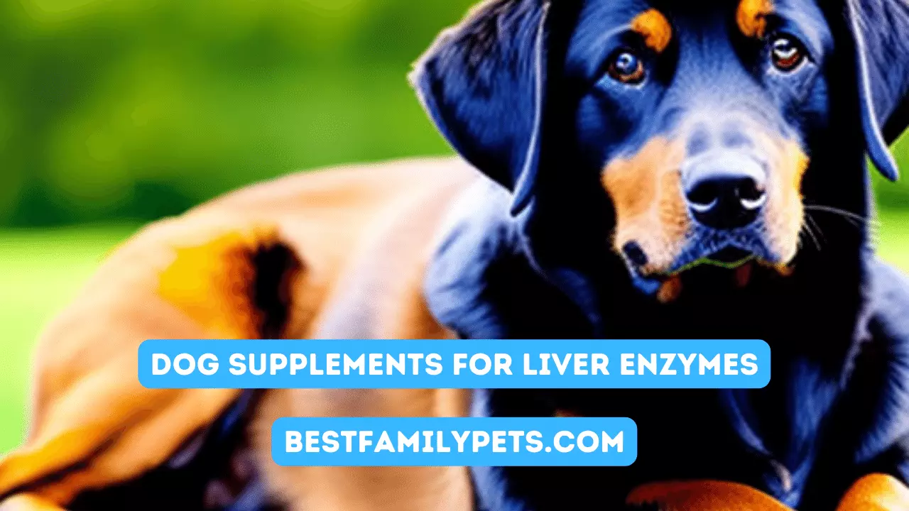 Top 10 Best Selling List for Dog Supplements for Liver Enzymes