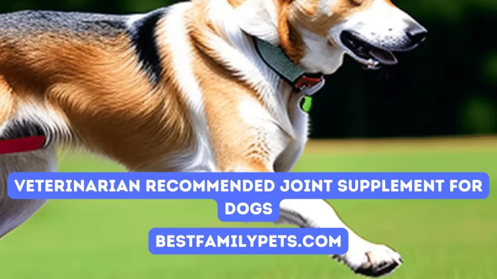 Veterinarian Recommended Joint Supplement for Dogs