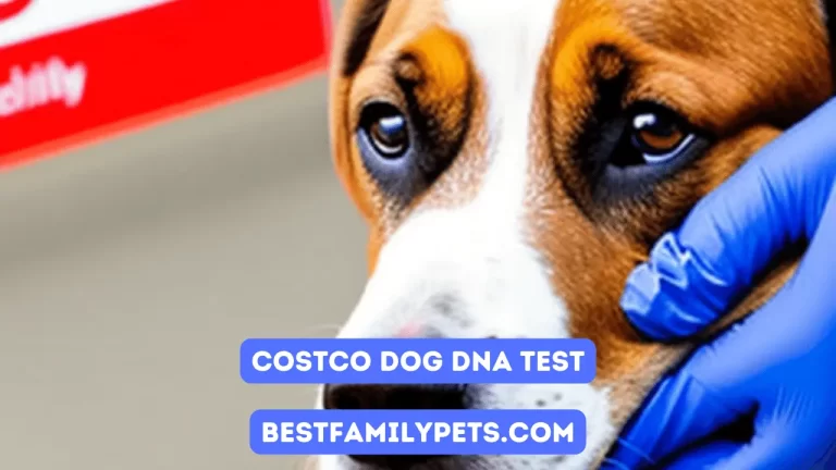 Costco Dog DNA Test