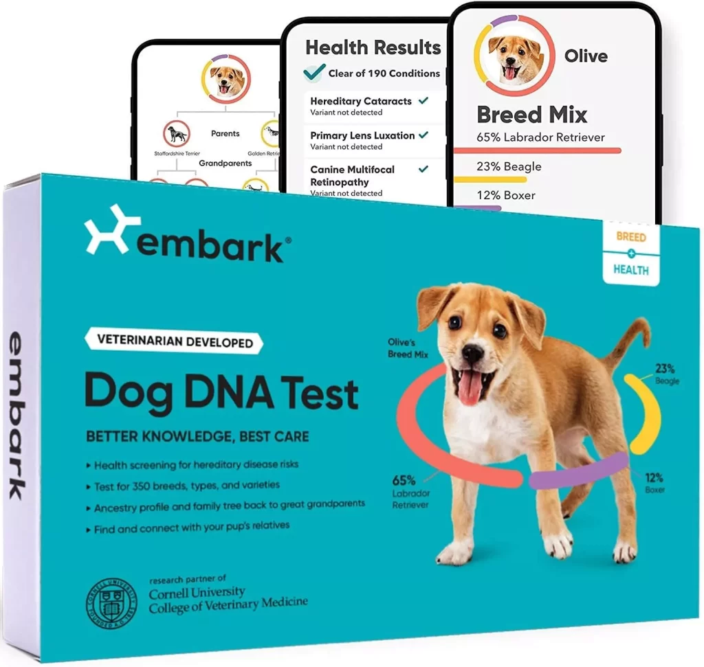 Embark  Dog DNA Test  Breed & Health Kit  Breed Identification & Canine Genetic Health Screening