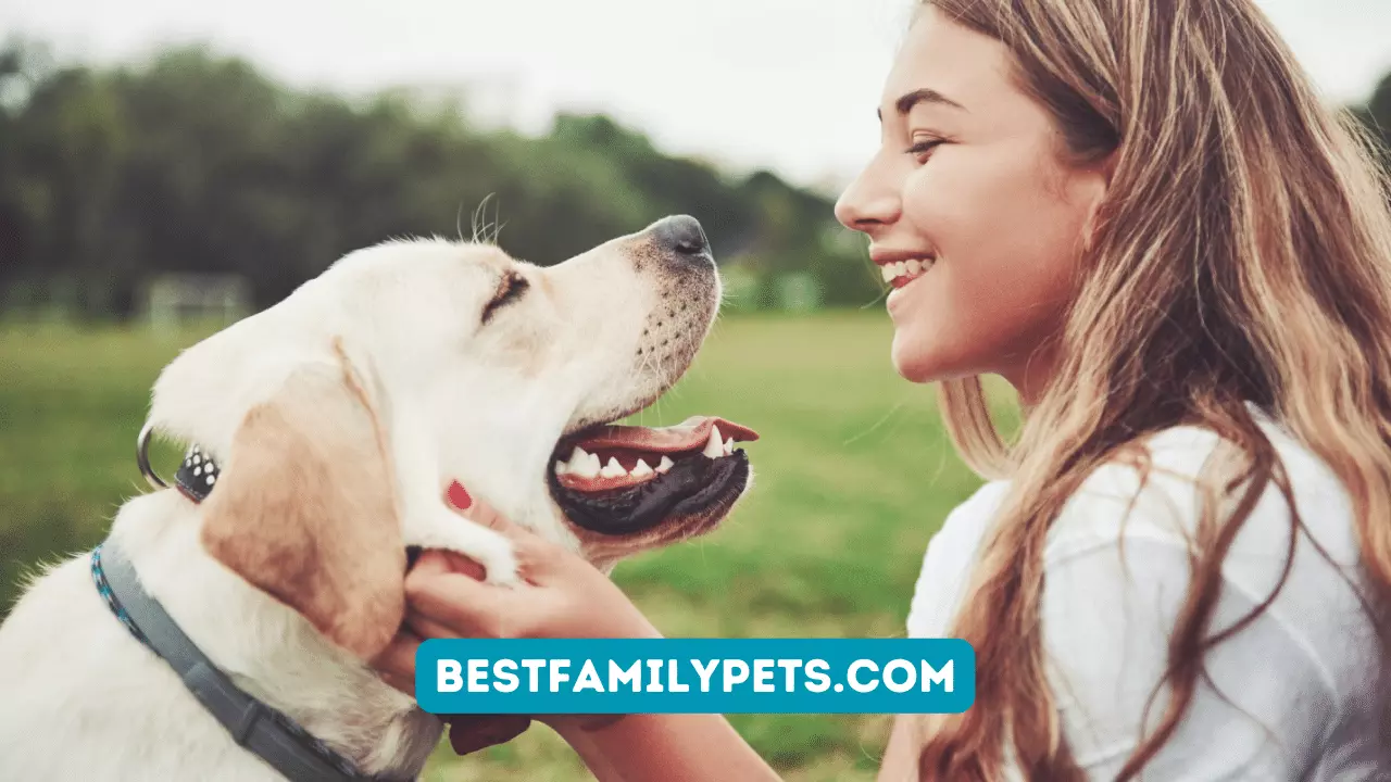 How to Keep Your Dog Happy: 5 Important Tips
