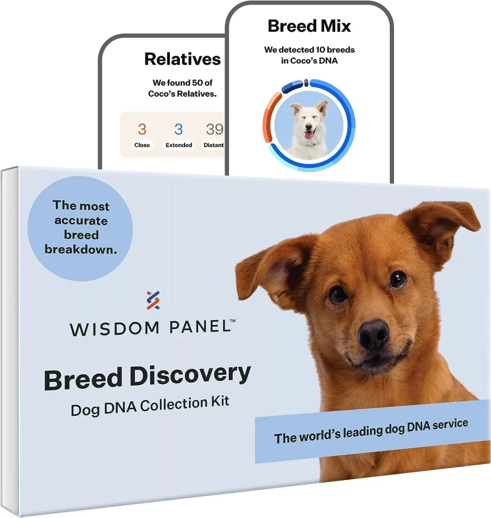 Wisdom Panel Breed Discovery Dog DNA Kit Most Accurate Dog Breed Identification, Test for 350+ Breeds, MDR1 Health Test, Ancestry, Relatives