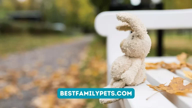 Bunny Teething Toy