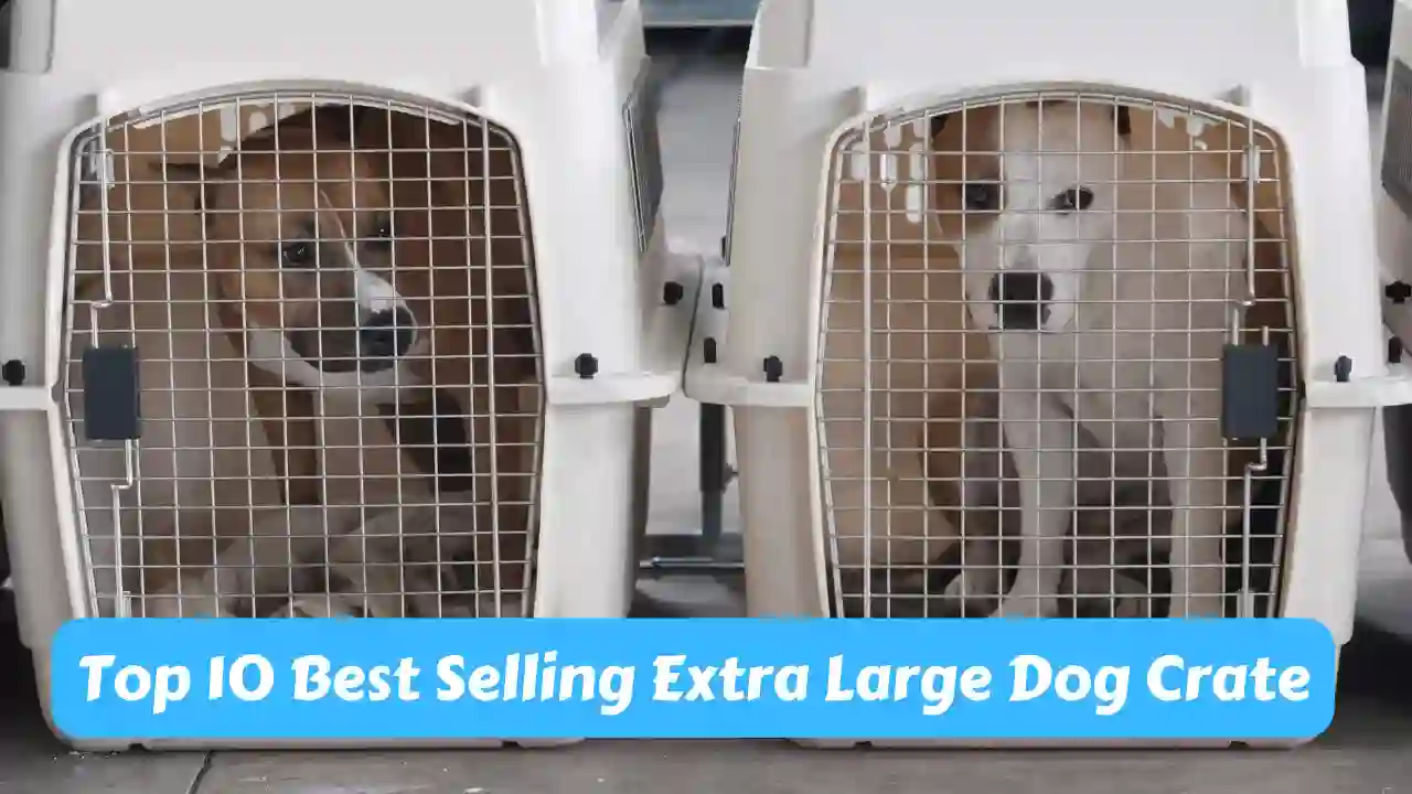 Top 10 Best Selling Extra Large Dog Crate