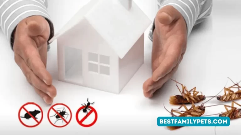 Pest Control Service