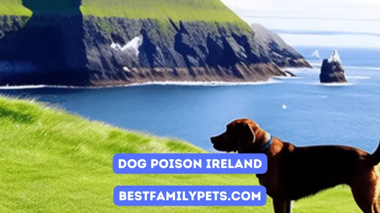 Dog Poison Ireland