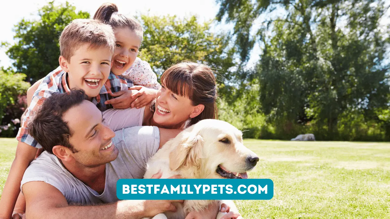 5 Things Every Pet Parent Needs