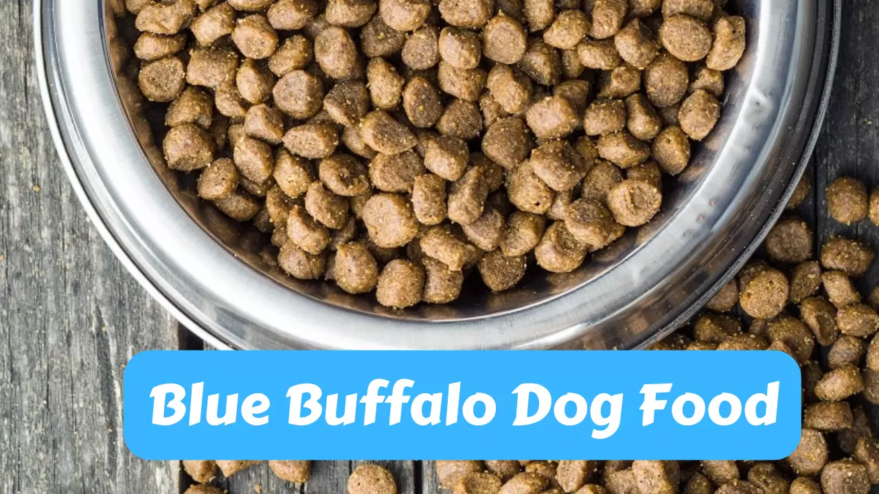 Blue Buffalo Dog Food