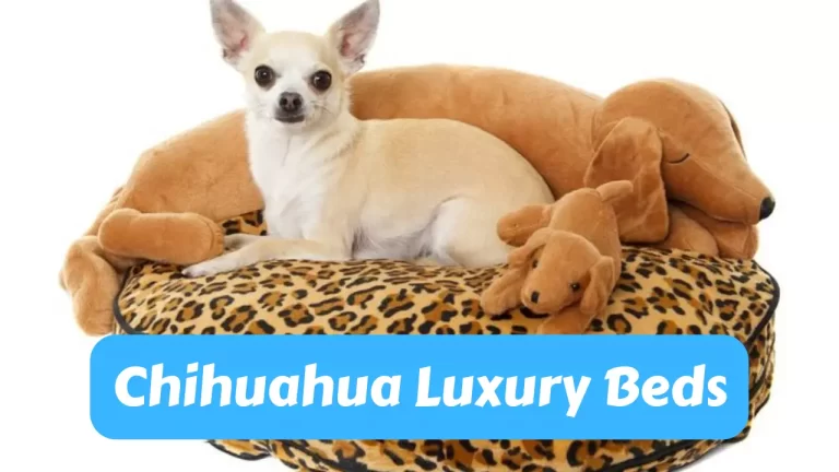 Chihuahua Luxury Beds