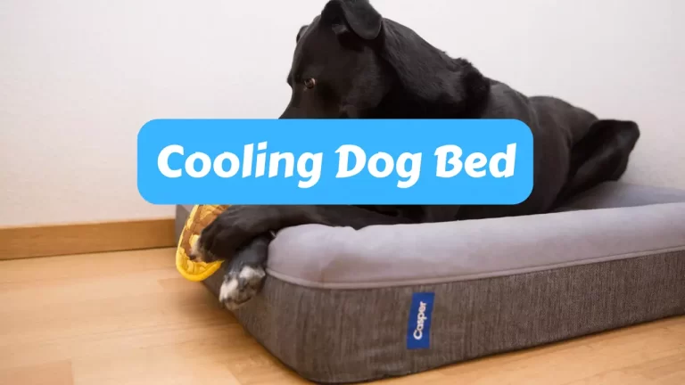 Cooling Dog Bed