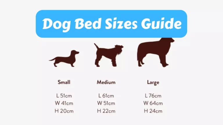 Dog Bed Sizes Guide