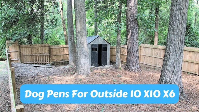 Dog Pens for Outside 10 X10 X6