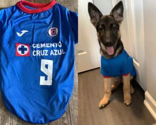 Dog Soccer Jersey