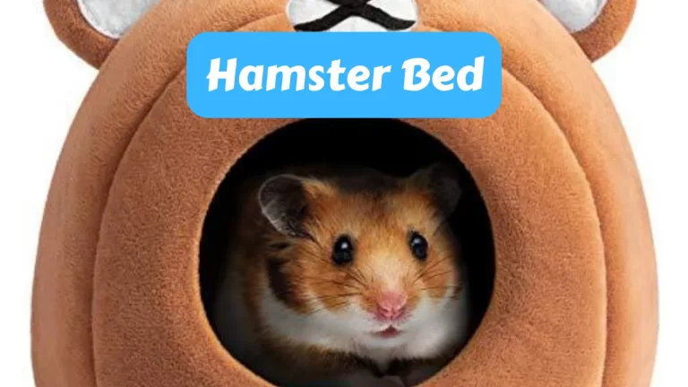 Hamster Bed