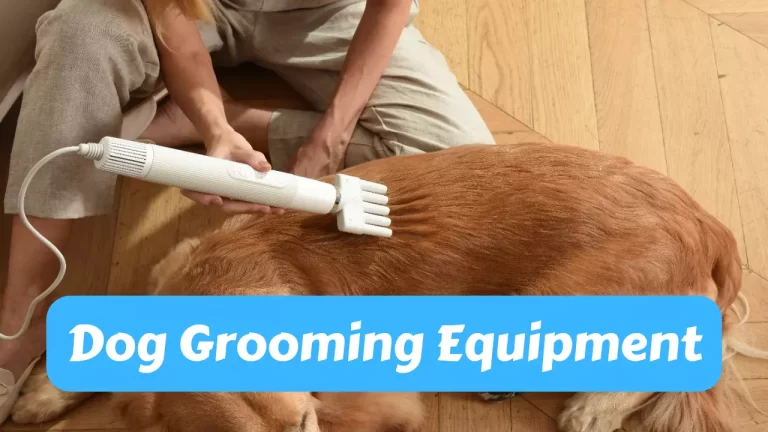 dog grooming equipment