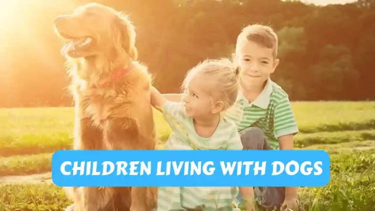 Children & Dogs