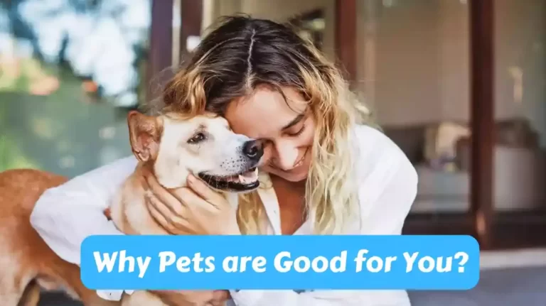 Why Pets are Good for You