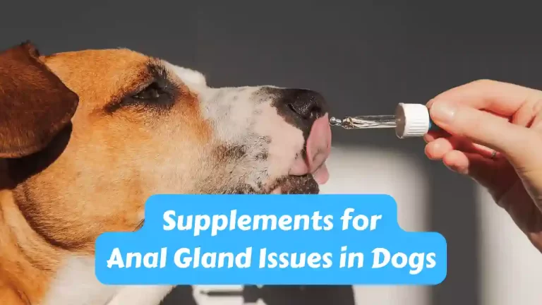 supplements for anal gland problems dogs