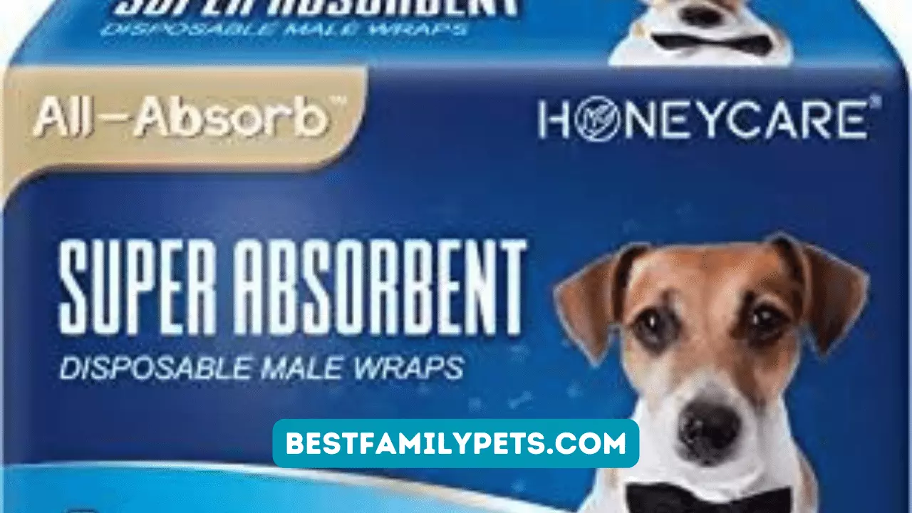 All-Absorb A25 Male Dog Wrap: The Best Way to Keep Your Dog Dry