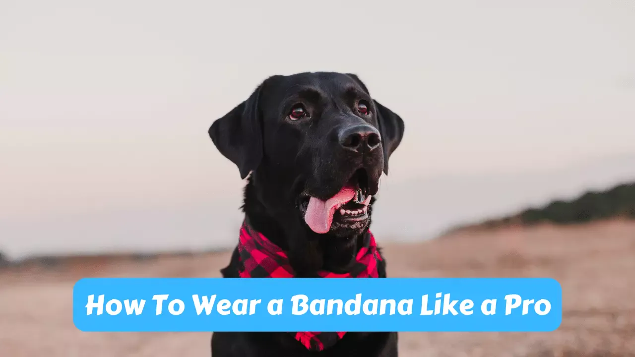 How To Wear a Bandana Like a Pro