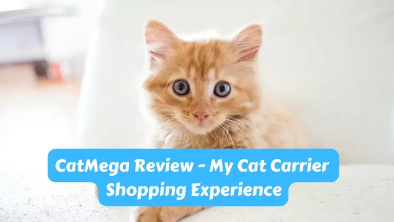 CatMega Review - My Cat Carrier Shopping Experience