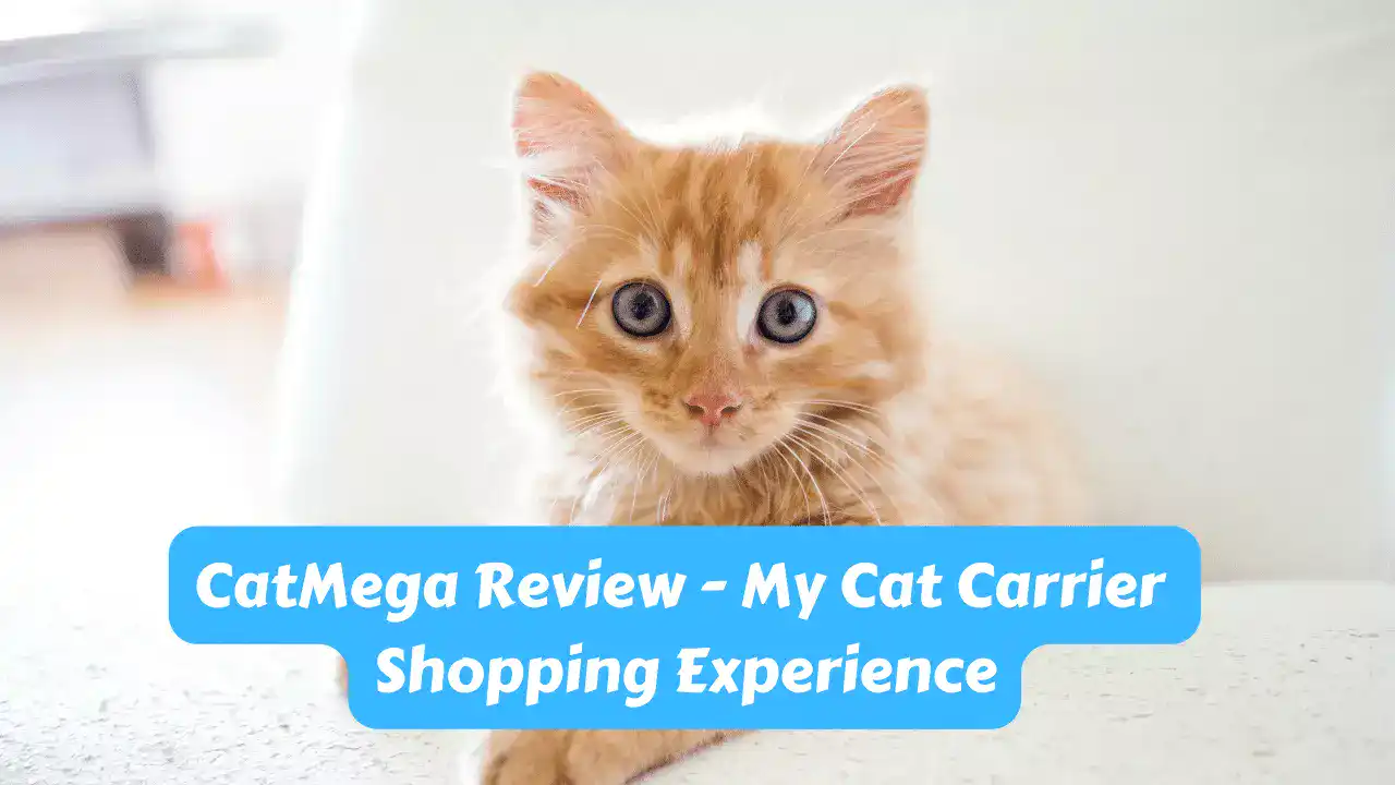 CatMega Review – My Cat Carrier Shopping Experience
