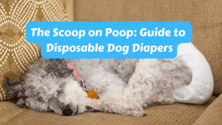 disposable dog diapers