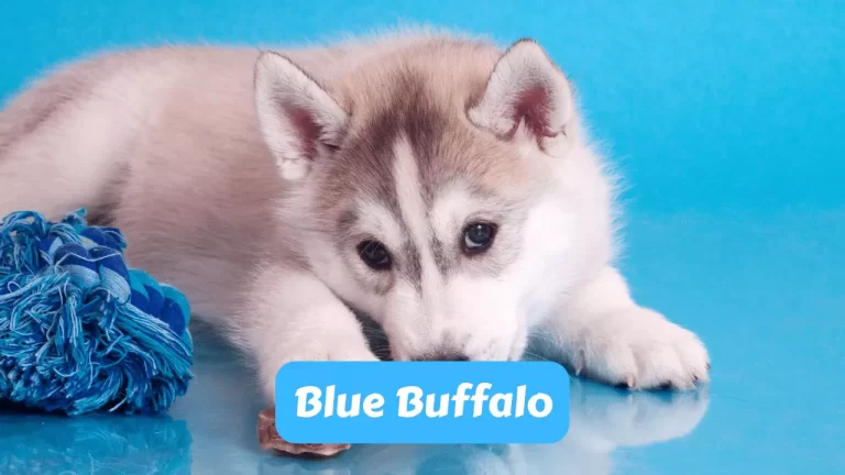 Blue Buffalo