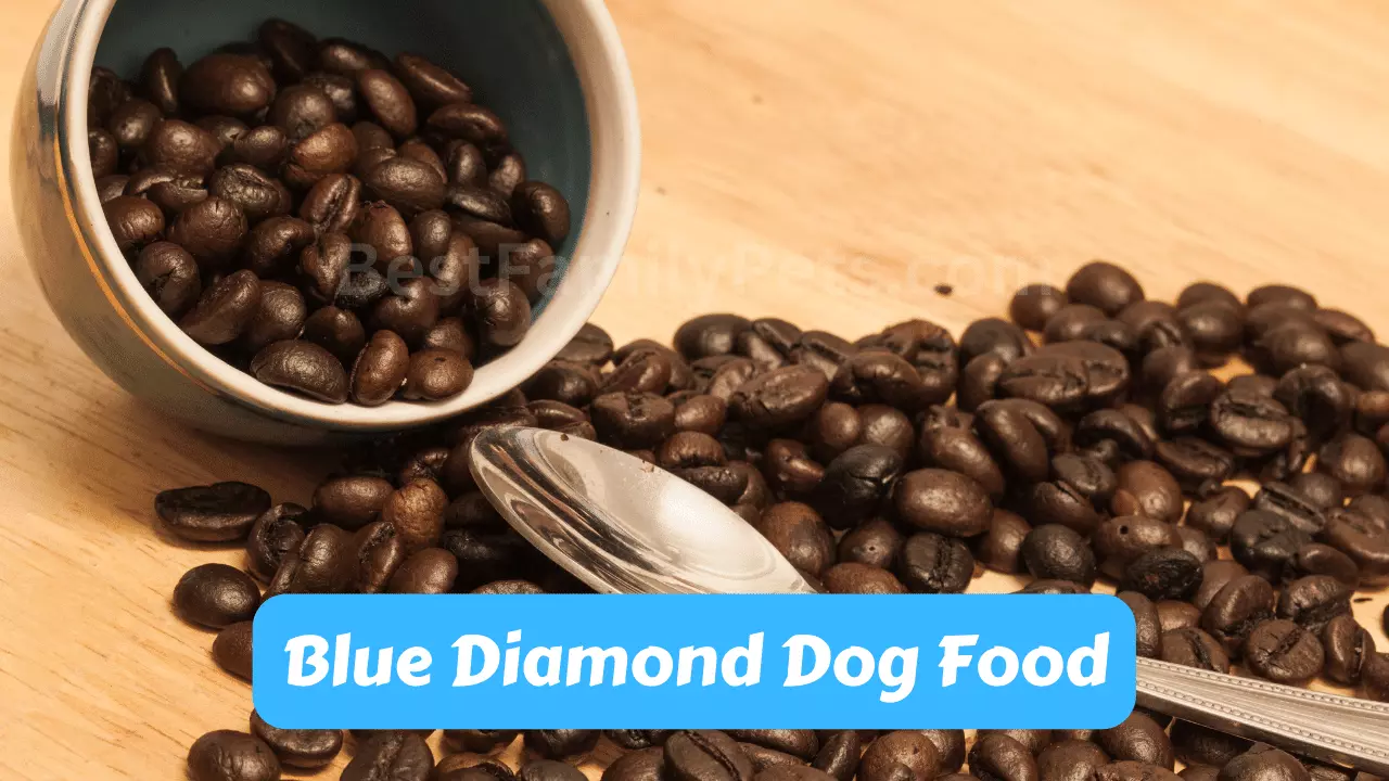 reasons-to-choose-blue-diamond-dog-food-best-family-pets