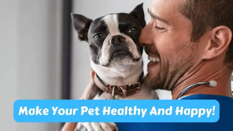 Make Your Pet Healthy And Happy!