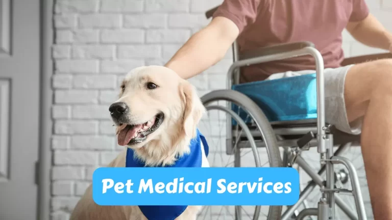 Pet Medical Services